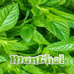 Menthol -FS.